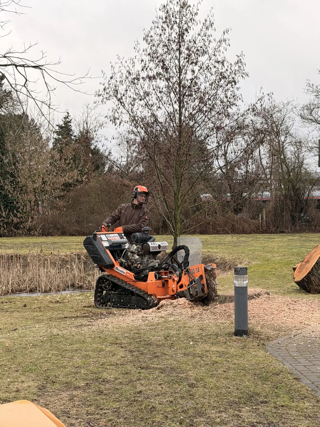 Stubbenfräse im Einsatz